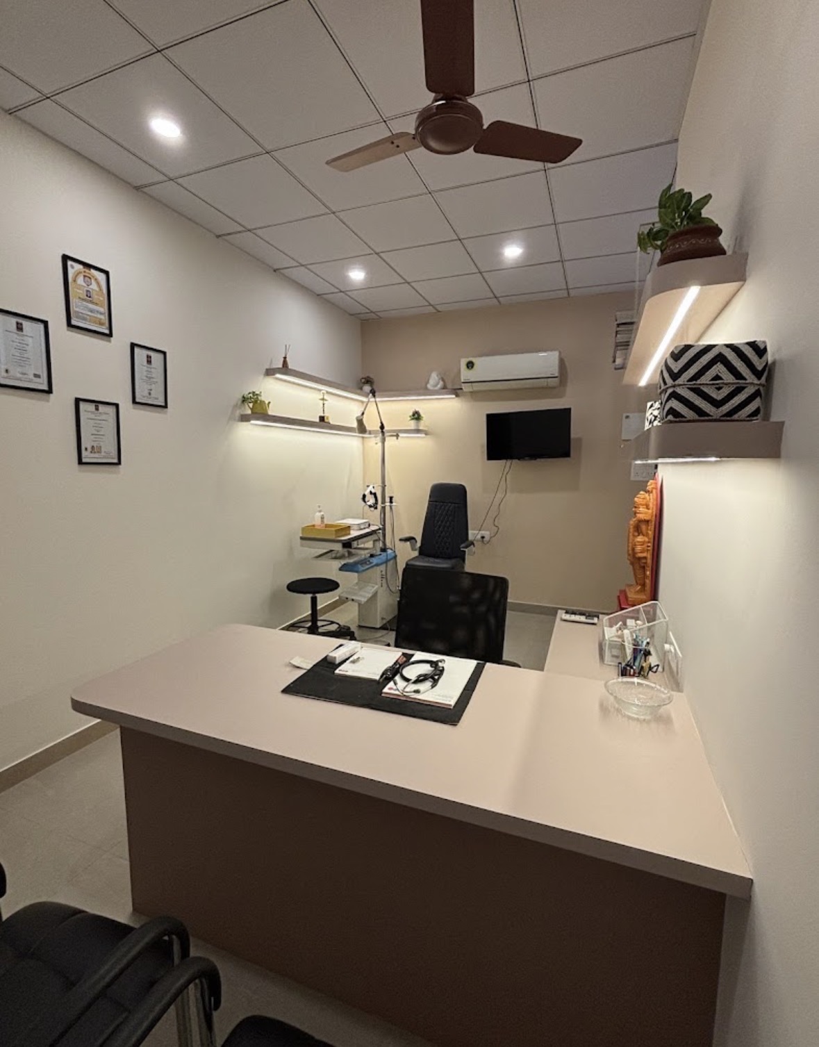 Calm ENT consultation room with eucalyptus on a wooden desk